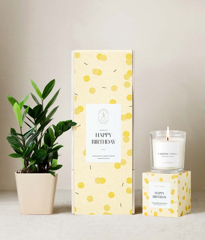 Lula's Garden  Happy Birthday ZZ Plant Gift Set