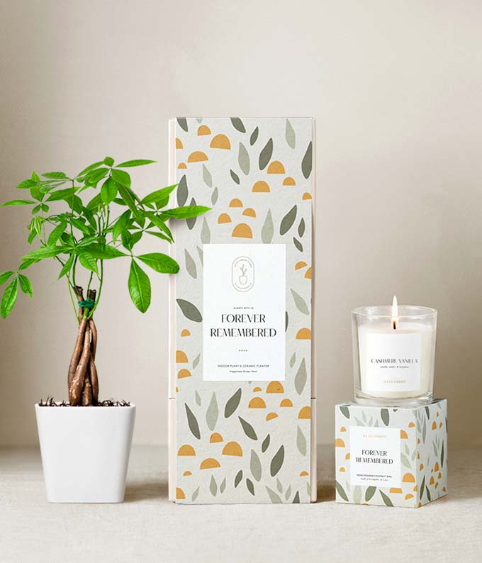 Lula's Garden  Sympathy Money Tree Gift Set