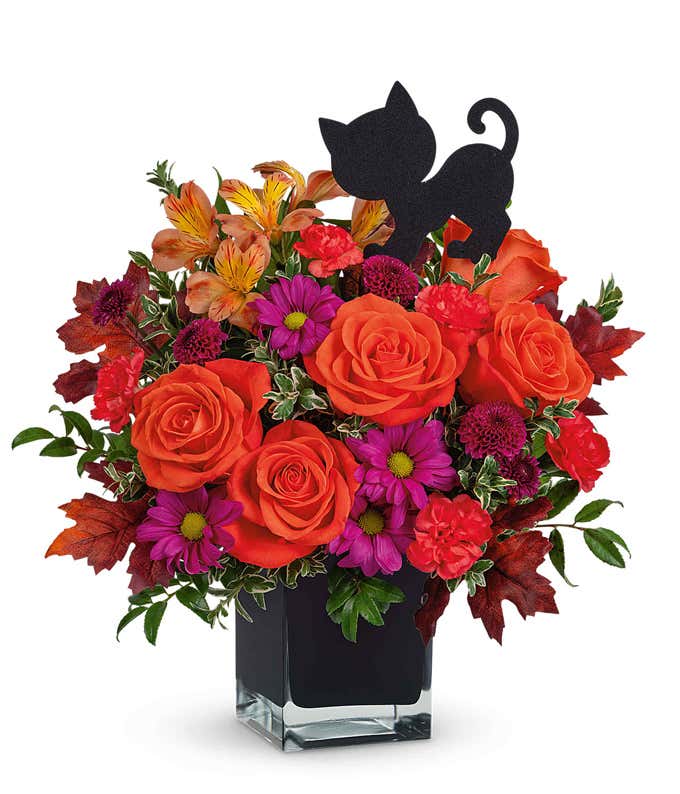 Halloween flower arrangement with bright orange roses, orange alstroemeria, purple daisy chrysanthemums, red carnations, and burgundy button spray chrysanthemums in a black cube vase, topped with a black cat decoration.