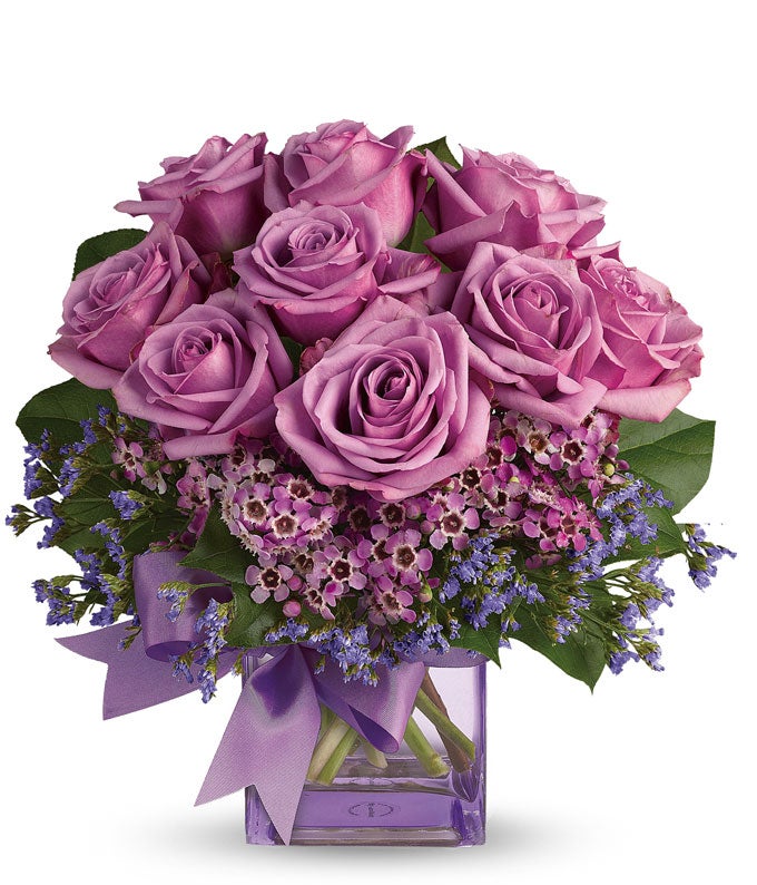 Purple Morning Melody