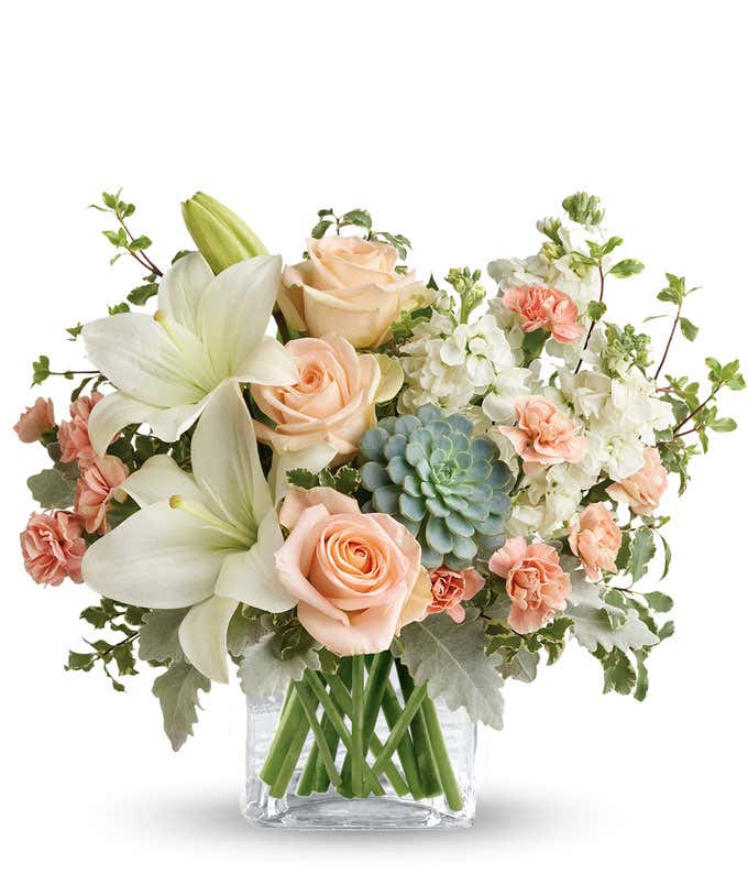Floral arrangement featuring peach roses, white Asiatic lilies, peach mini carnations, white stock, pitta negra, dusty miller, and a green echeveria succulent in a glass cube vase.