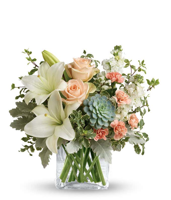 Floral arrangement featuring peach roses, white Asiatic lilies, peach mini carnations, white stock, pitta negra, dusty miller, and a green echeveria succulent in a glass cube vase.