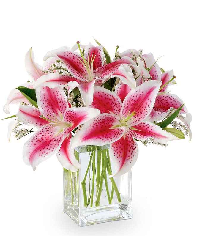 The Shining Stargazer Bouquet