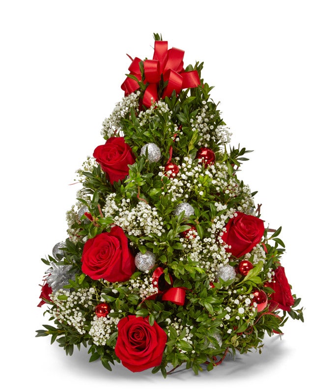 Oh Christmas Tree!