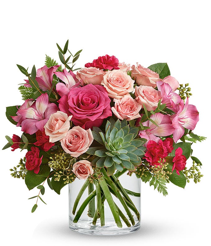 Pink Rose Succulent Garden