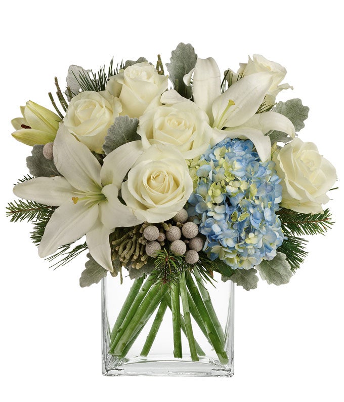 Serene Snowy Blooms