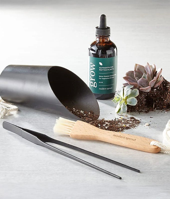 Plant Parenthood Survival Kit
