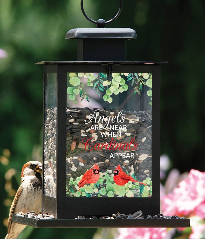 When Cardinals Are Near Bird Feeder