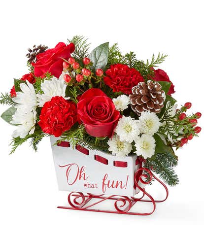 Rosy Sleigh Ride