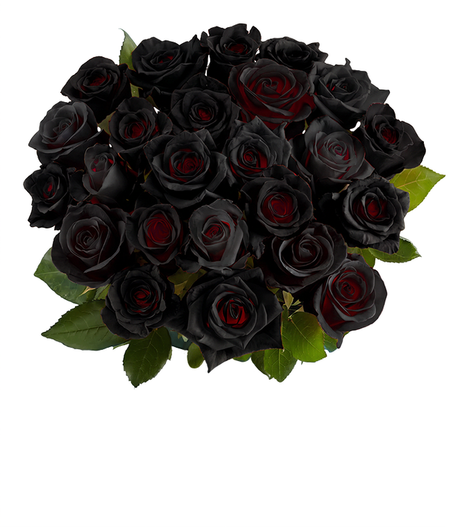 Partial image of Bouquet featuring 24 black Roses, with optional vase and card message, securely packed in a box. without vase.
