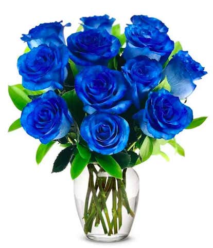 One Dozen Blue Roses