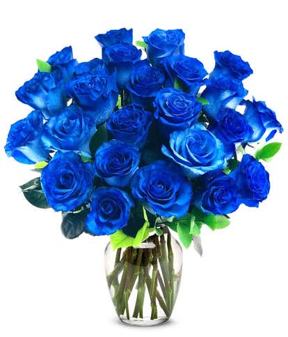 Two Dozen Blue Roses