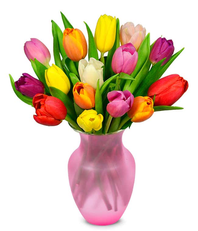 A delightful arrangement of seasonal tulips in a variety of colors, offering a fresh and vibrant display. These beautiful tulips bring a burst of color and cheer to any setting.