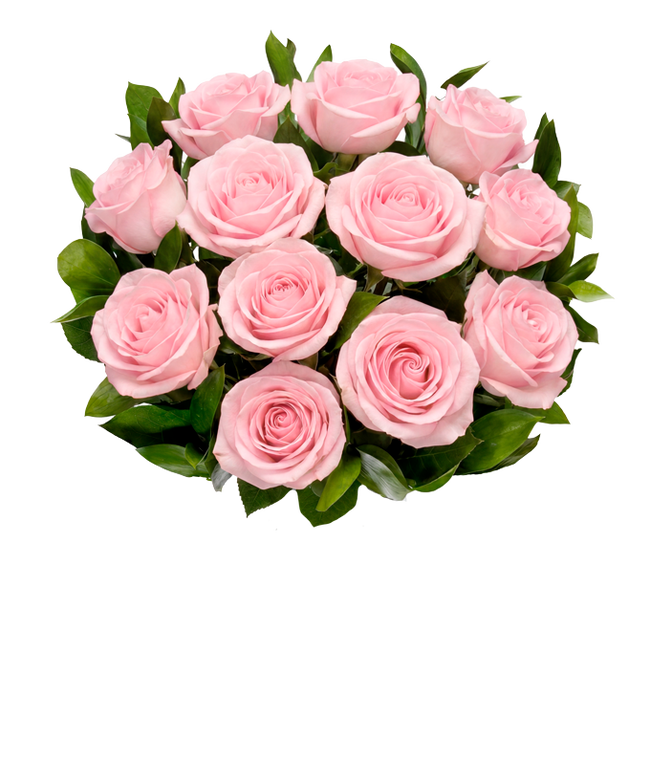 Partial image of A delicate arrangement featuring one dozen light pink roses. This elegant and timeless display offers a touch of romance and sophistication, perfect for any special occasion. without vase.