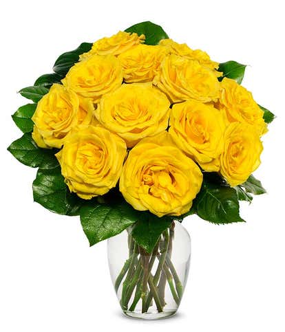 One Dozen Yellow Roses