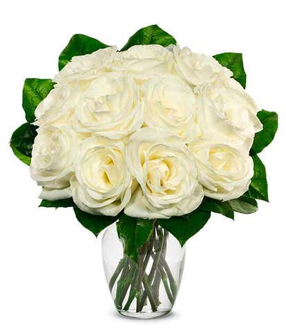 One Dozen White Roses