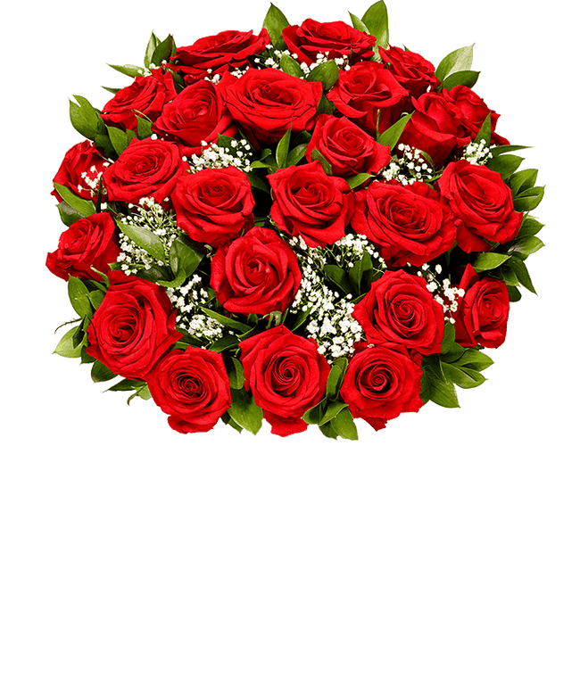 Partial image of Two dozen red roses for next day delivery without vase.
