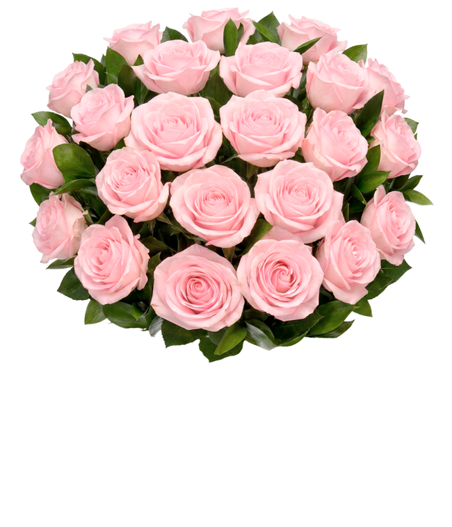 Partial image of Two dozen long stem pink roses without vase.