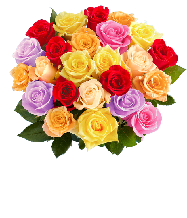 Partial image of Two dozen rainbow roses for Mother's Day rose delivery without vase.