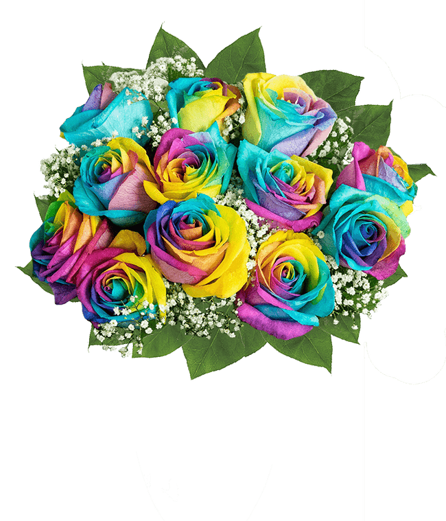 Partial image of One Dozen Pride Roses without vase.