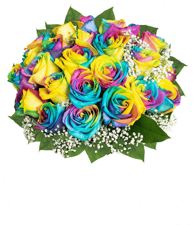 Partial image of Two Dozen Pride Roses without vase.