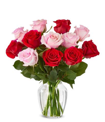 One Dozen Red and Pink Roses