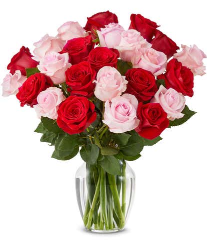 Two Dozen Red & Pink Roses