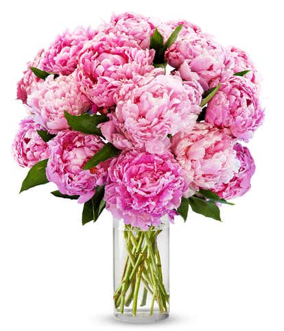 Pretty Pink Peonies - Deluxe