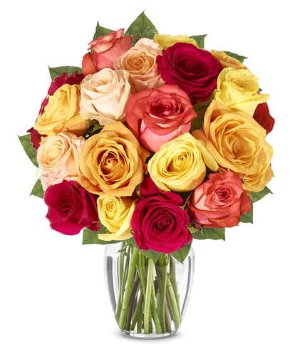 One and a Half Dozen Fall Roses
