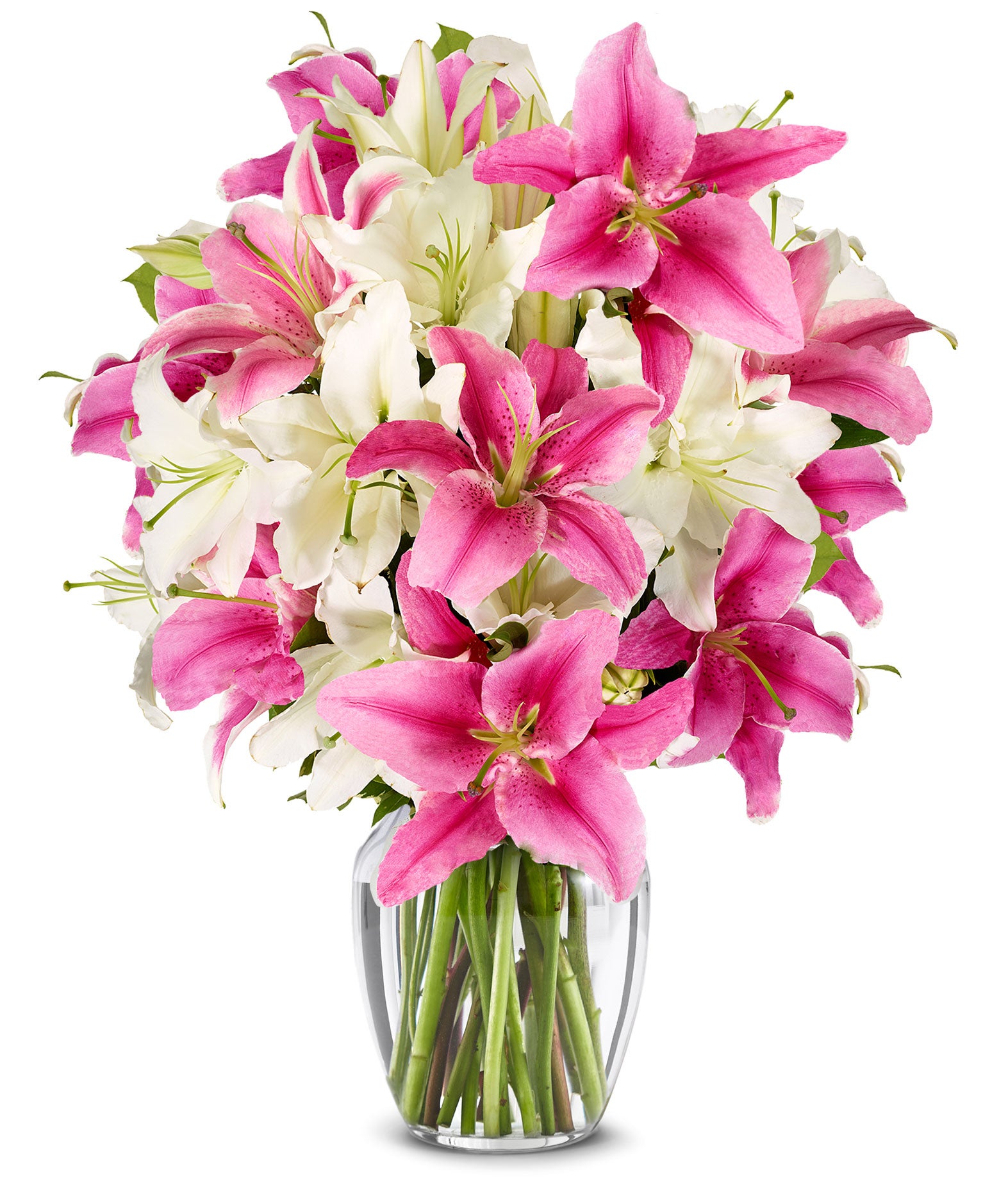 Yellow LiIy | Yellow Lilies Delivered | FromYouFlowers