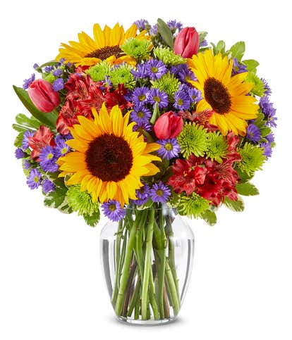Sunflower Garden