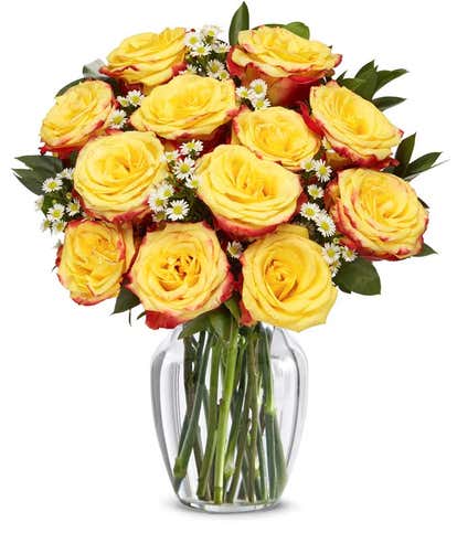 One Dozen Festive Roses