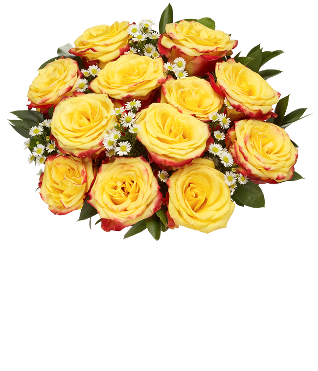 Partial image of One Dozen Bi-Colored Roses without vase.