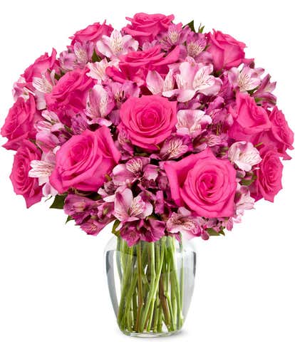 Premium Ma Ch&egrave;re Rose