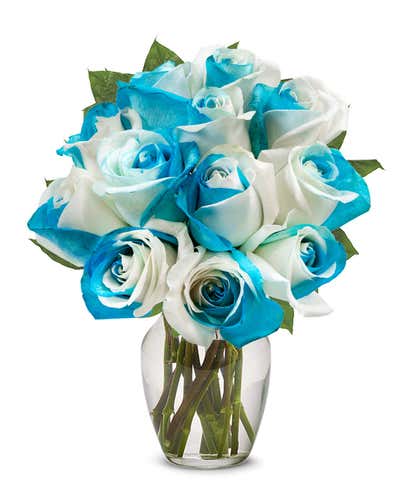 One Dozen Sea Foam Roses