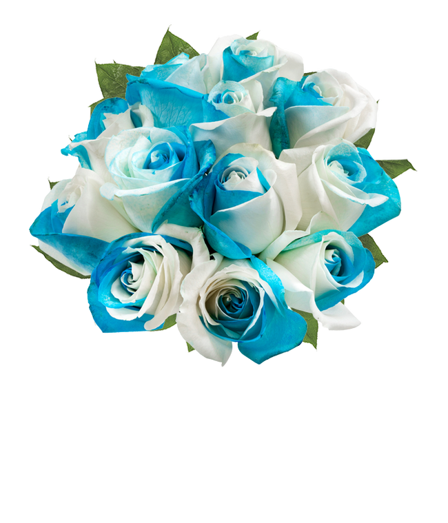 Partial image of One Dozen Sea Foam Roses without vase.