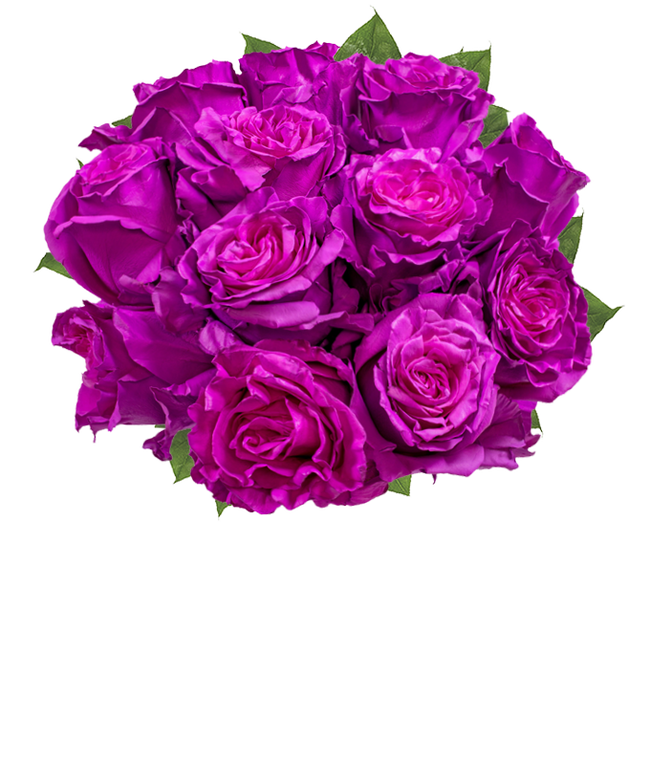 Partial image of One Dozen Magenta Roses without vase.