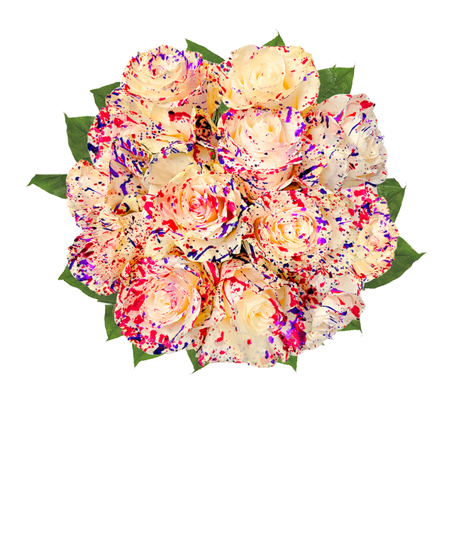 Partial image of One Dozen Wild Confetti Roses without vase.