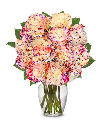 One Dozen Confetti Roses