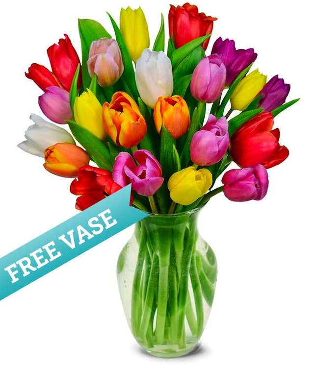 Assorted Tulips with Free Vase
