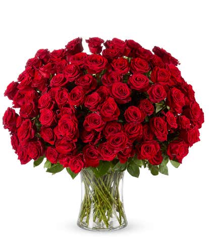 100 Long Stemmed Red Roses