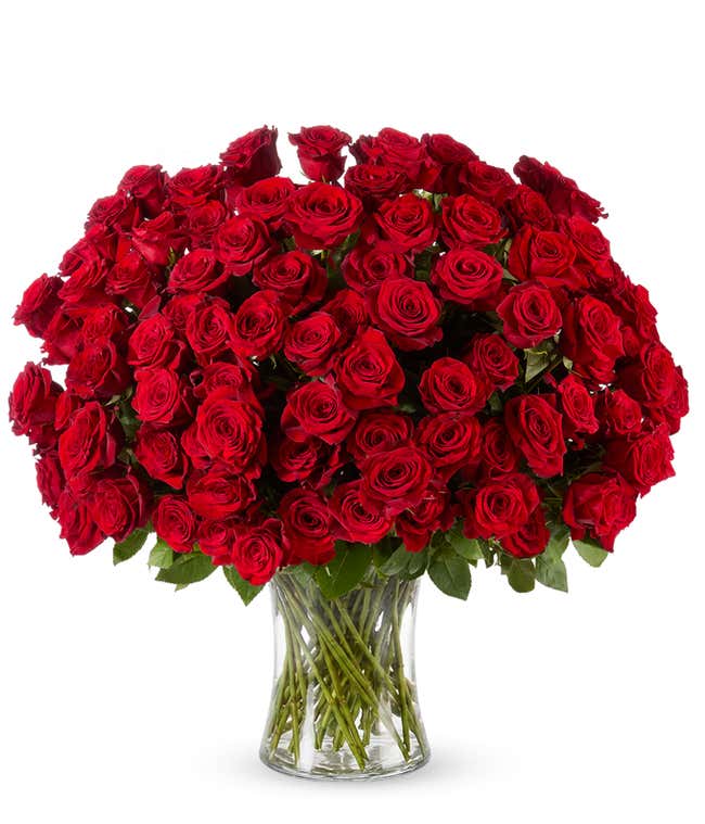 A bouquet of 100 red roses in a clear glass gathering vase with greens.