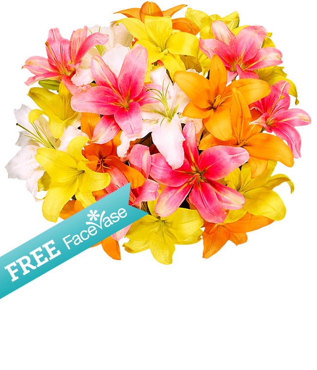 Partial image of Free Facevase with Beautiful Lillies  without vase.