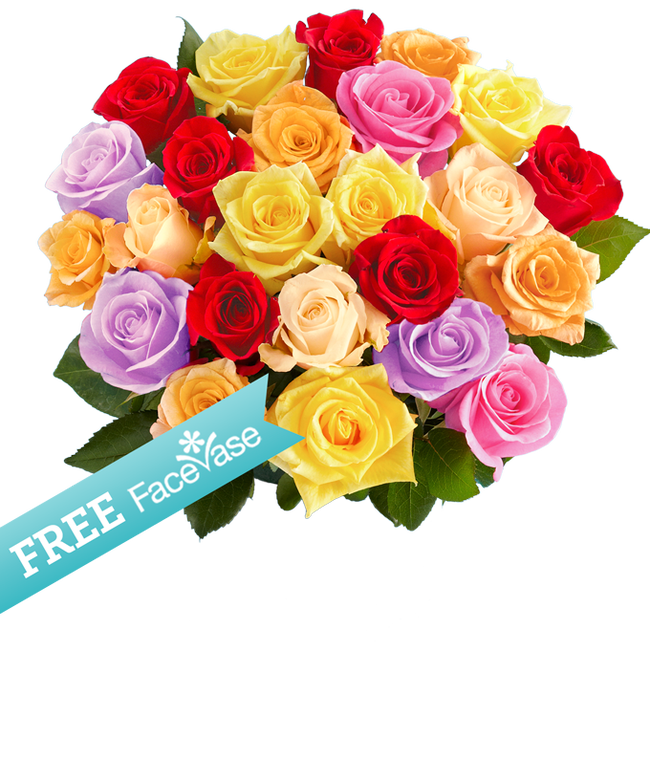Partial image of Two Dozen Rainbow Roses with Free Facevase without vase.
