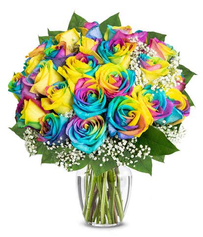 Two Dozen Wild Rainbow Roses