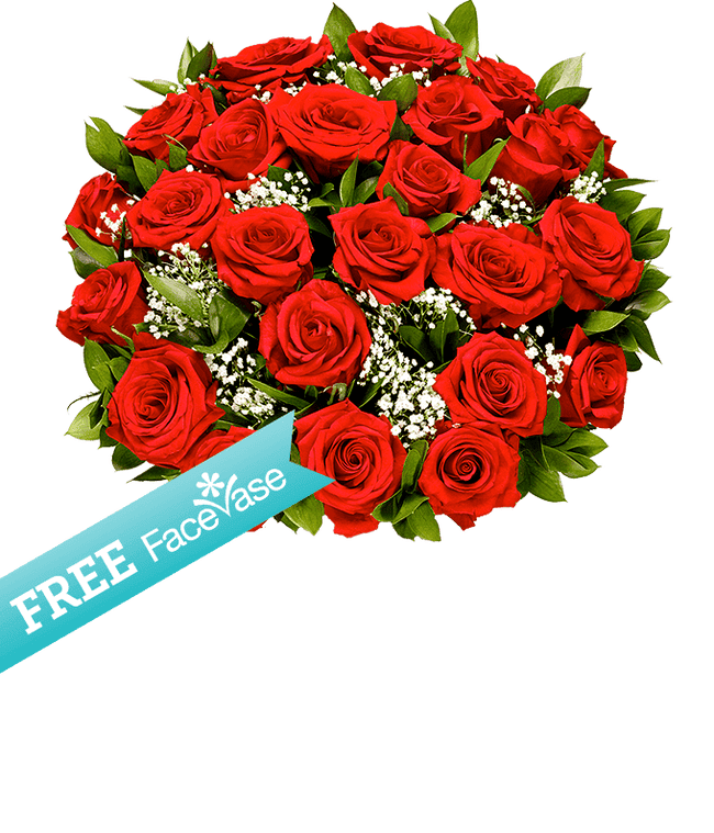 Partial image of Two Dozen Premium Red Roses with Free Facevase without vase.