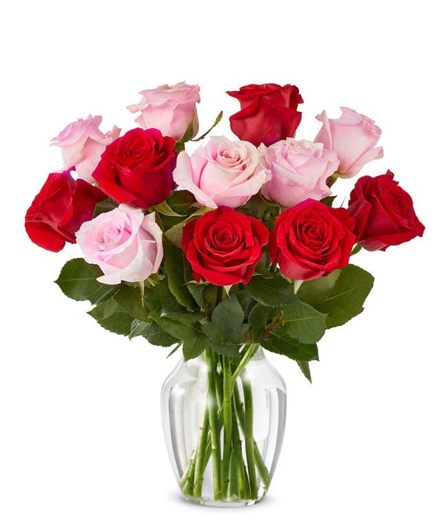 One Dozen Red and Pink Roses