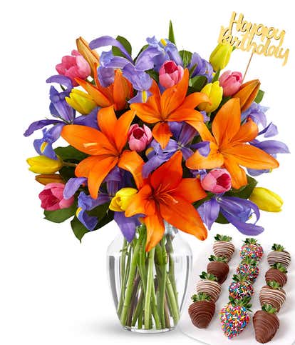 Kaleidoscope & Berries Birthday Bundle