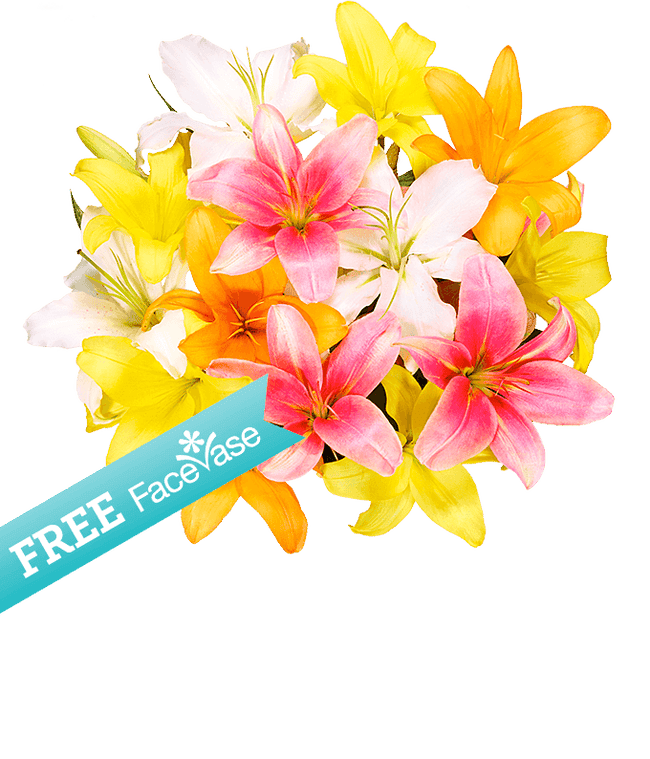 Partial image of Stunning Lily Bouquet with Free Facevase without vase.