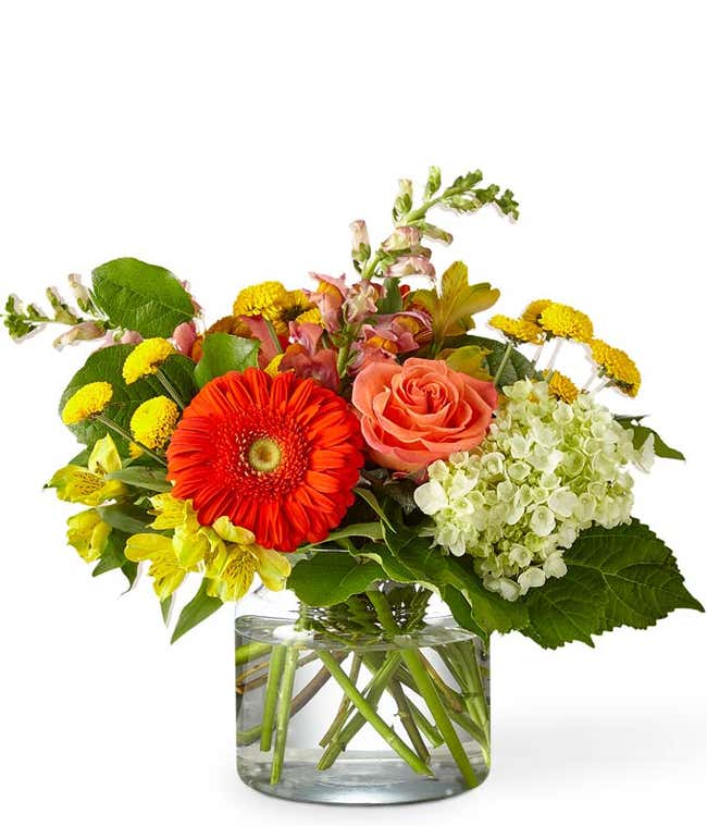 A vibrant floral arrangement featuring yellow button poms, yellow alstroemeria, orange gerbera daisies, green mini hydrangea, deluxe and premium orange roses, deluxe and premium orange snapdragons, and seasonal greens, all beautifully displayed in a glass